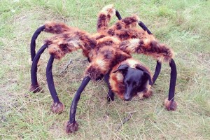 Youtube Mutant Giant Spider Dog