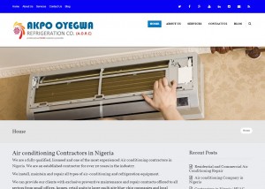 Web Design Company in Nigeria