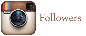Instagram Followers USA America